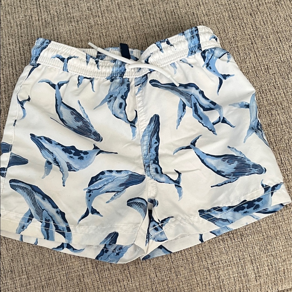 Janie and Jack Blue Whale Print Boys Swim Shorts